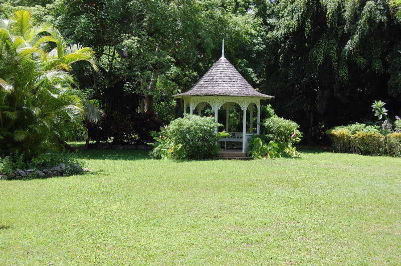 Inn At Shaw Park Gardens & Waterfalls Ocho Rios Luaran gambar