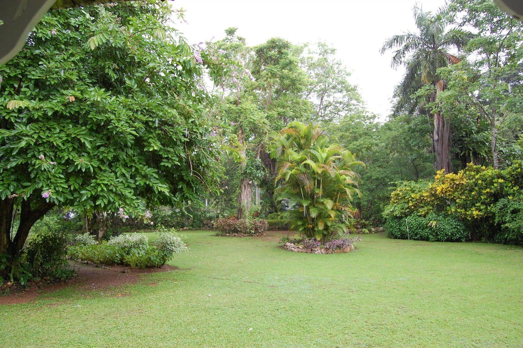 Inn At Shaw Park Gardens & Waterfalls Ocho Rios Luaran gambar