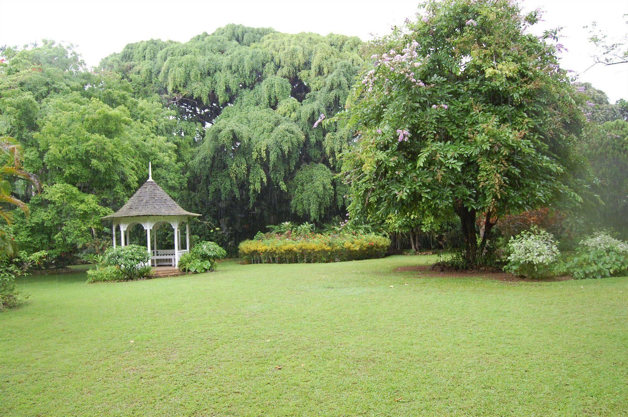 Inn At Shaw Park Gardens & Waterfalls Ocho Rios Luaran gambar