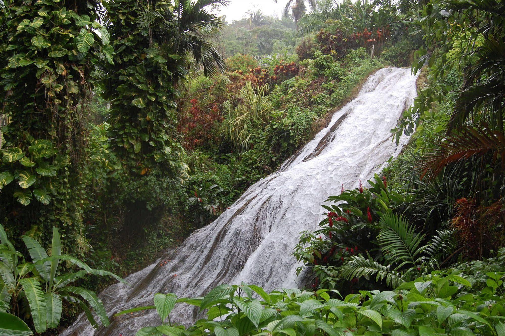 Inn At Shaw Park Gardens & Waterfalls Ocho Rios Luaran gambar