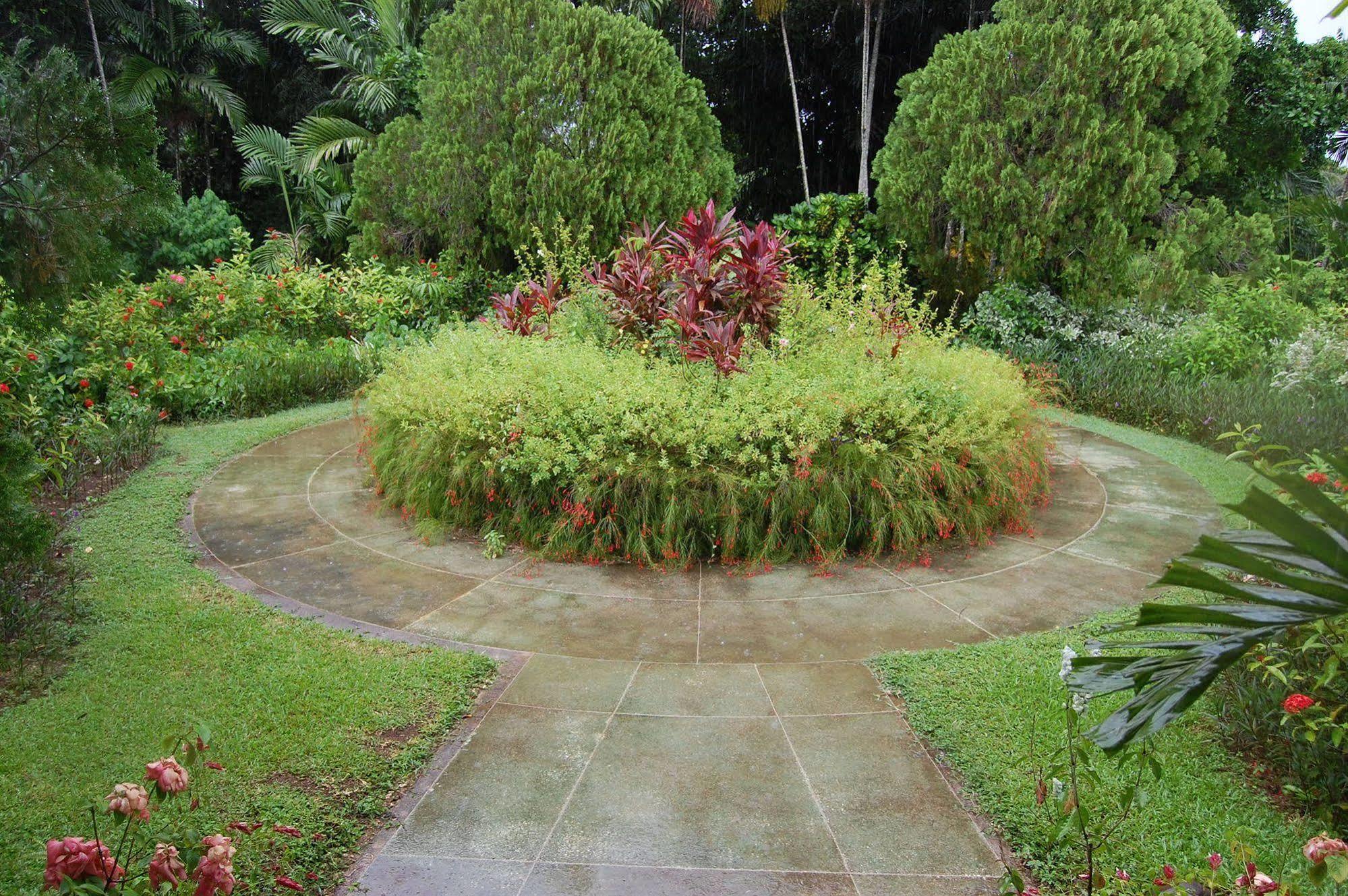 Inn At Shaw Park Gardens & Waterfalls Ocho Rios Luaran gambar